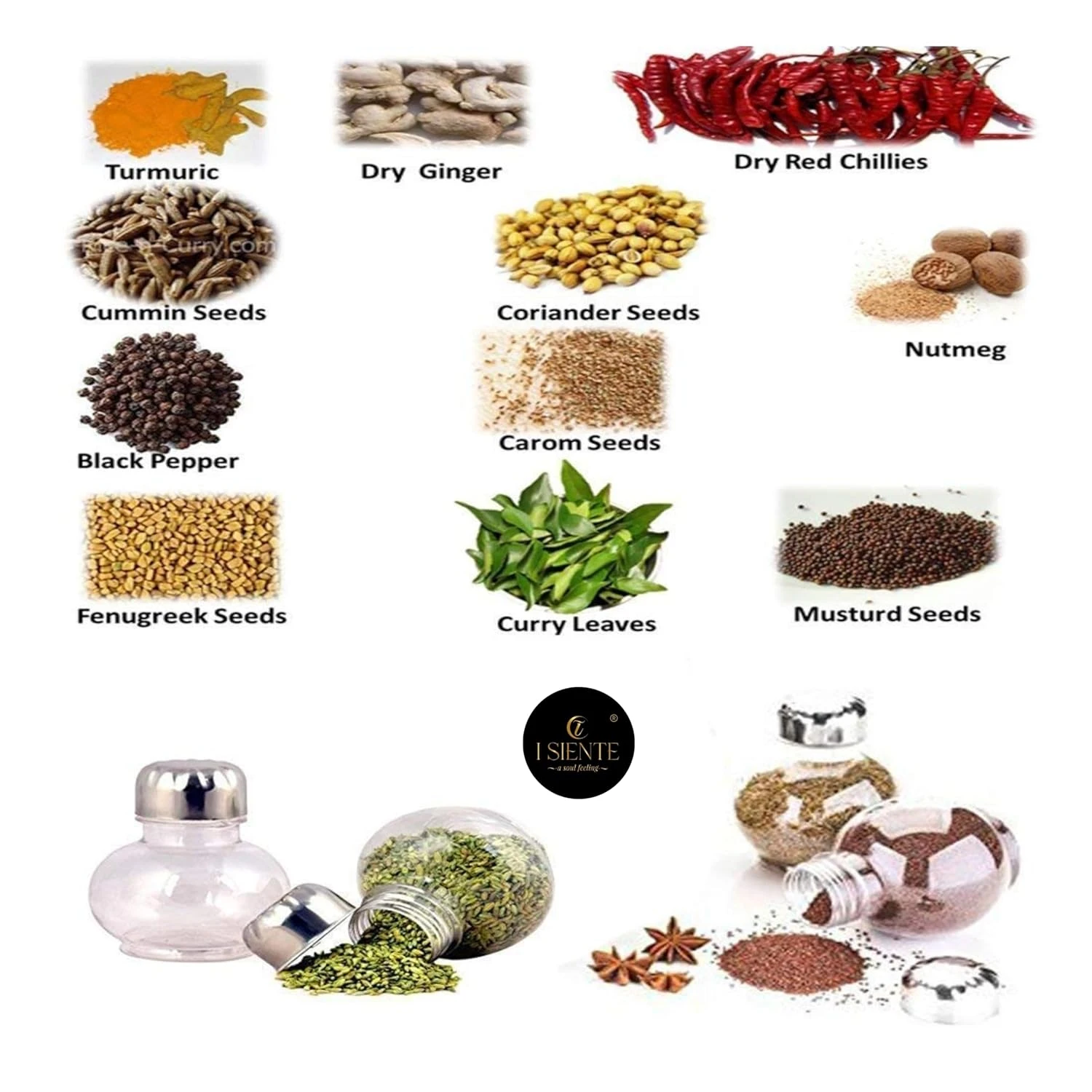 Multipurpose Revolving Plastic Spice Rack Set - 16 Transparent Jars with 360° Rotation for Easy Identification - Round Designer Condiment Set, 300ml Capacity