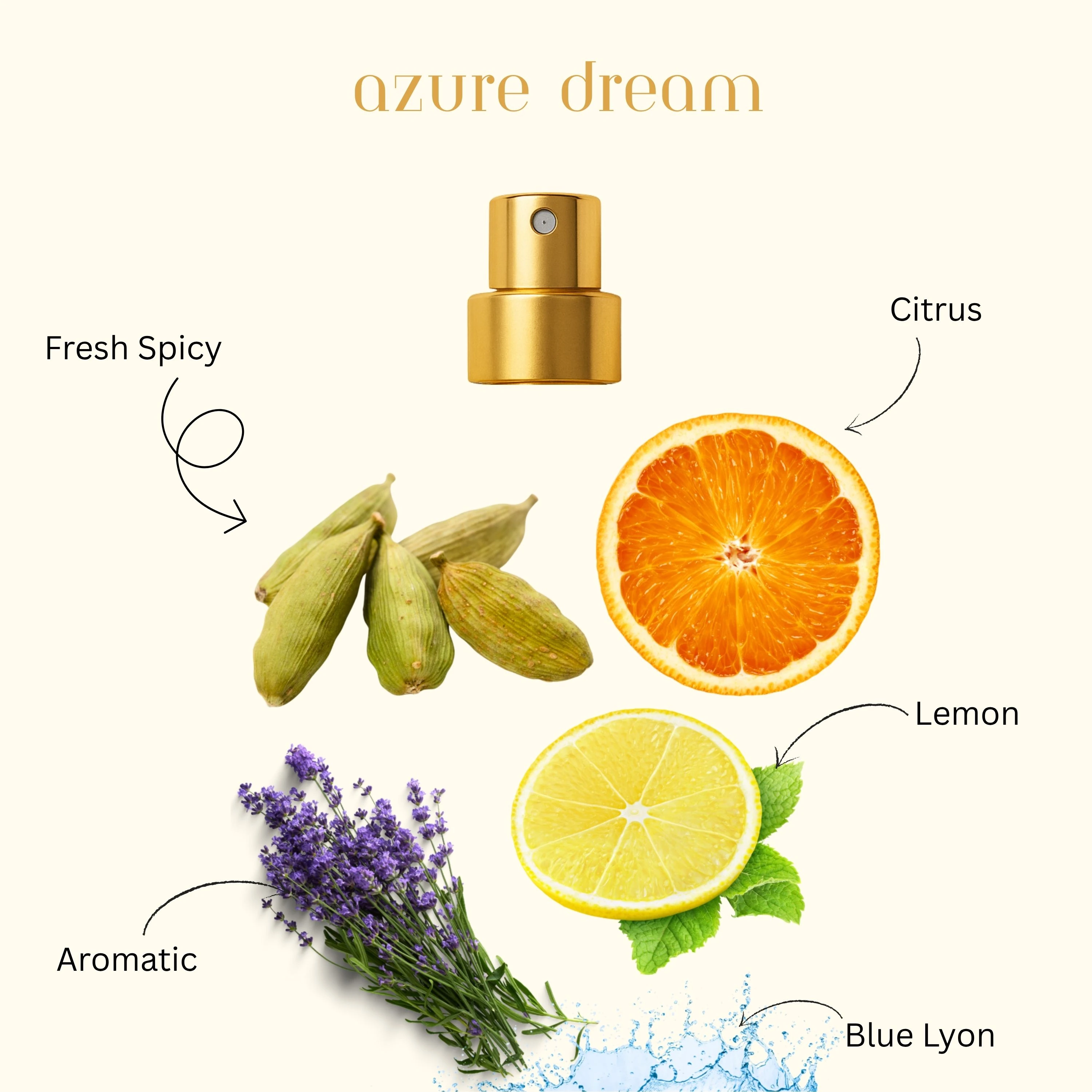 Azure Dream – Extrait de Parfum 30ml | Long Lasting Perfume for Men & Women | Fresh Spicy, Lemon, Citrus, Aromatic & Blue Lyon Notes | Luxury Gift Perfume